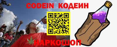 ешки Кингисепп