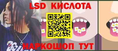 ешки Кингисепп