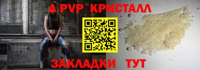 ECSTASY Канаш