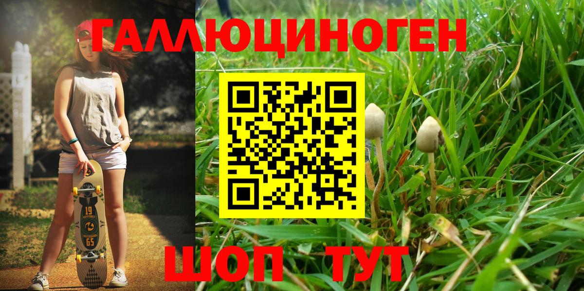 Галлюциногенные грибы мухоморы  Вход с VPN  Галлюциногенные грибы Magic Shrooms  Лесной 